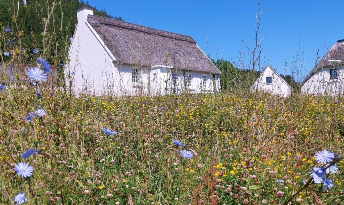 Corofin Lake Cottages Екстериор снимка
